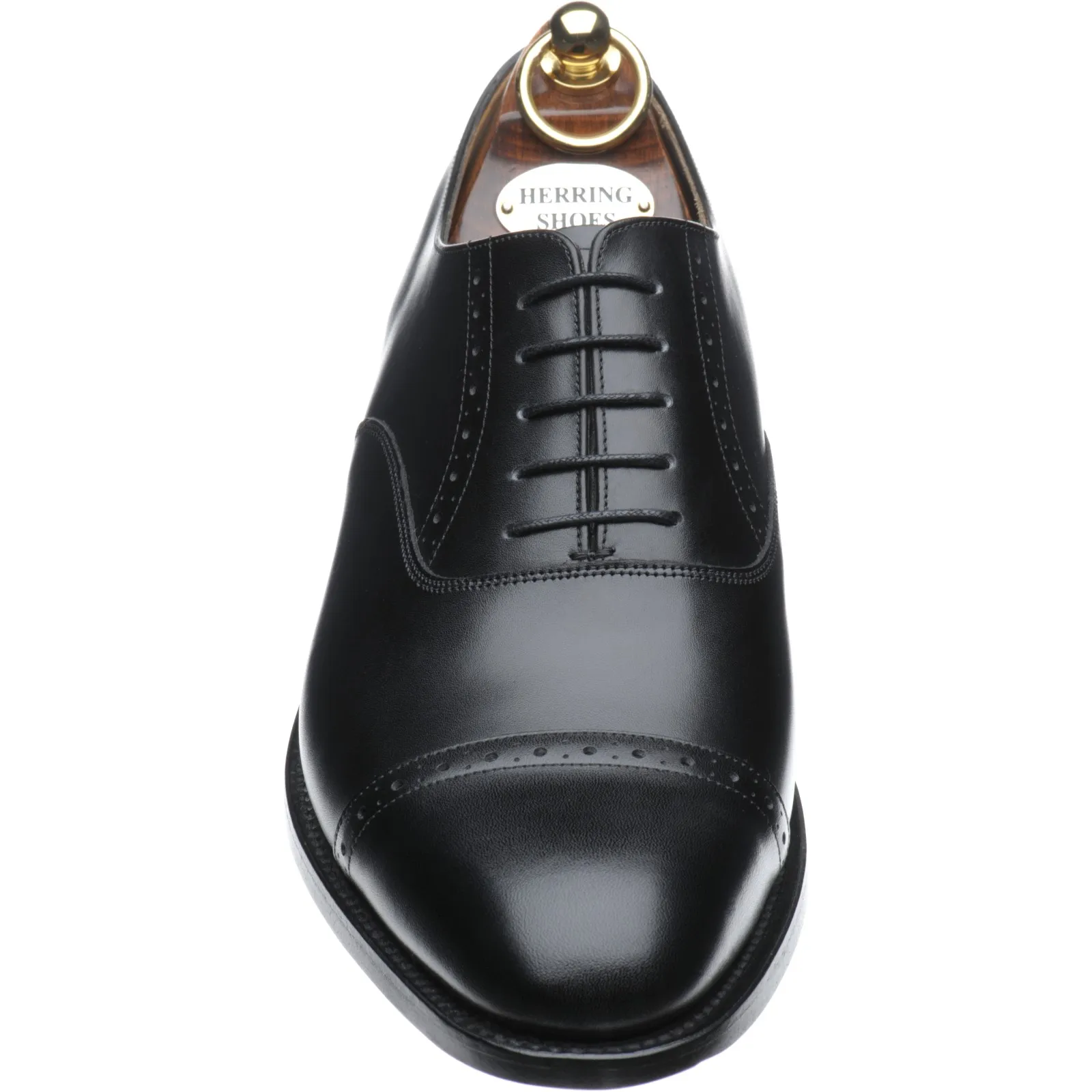 Belgravia semi-brogues