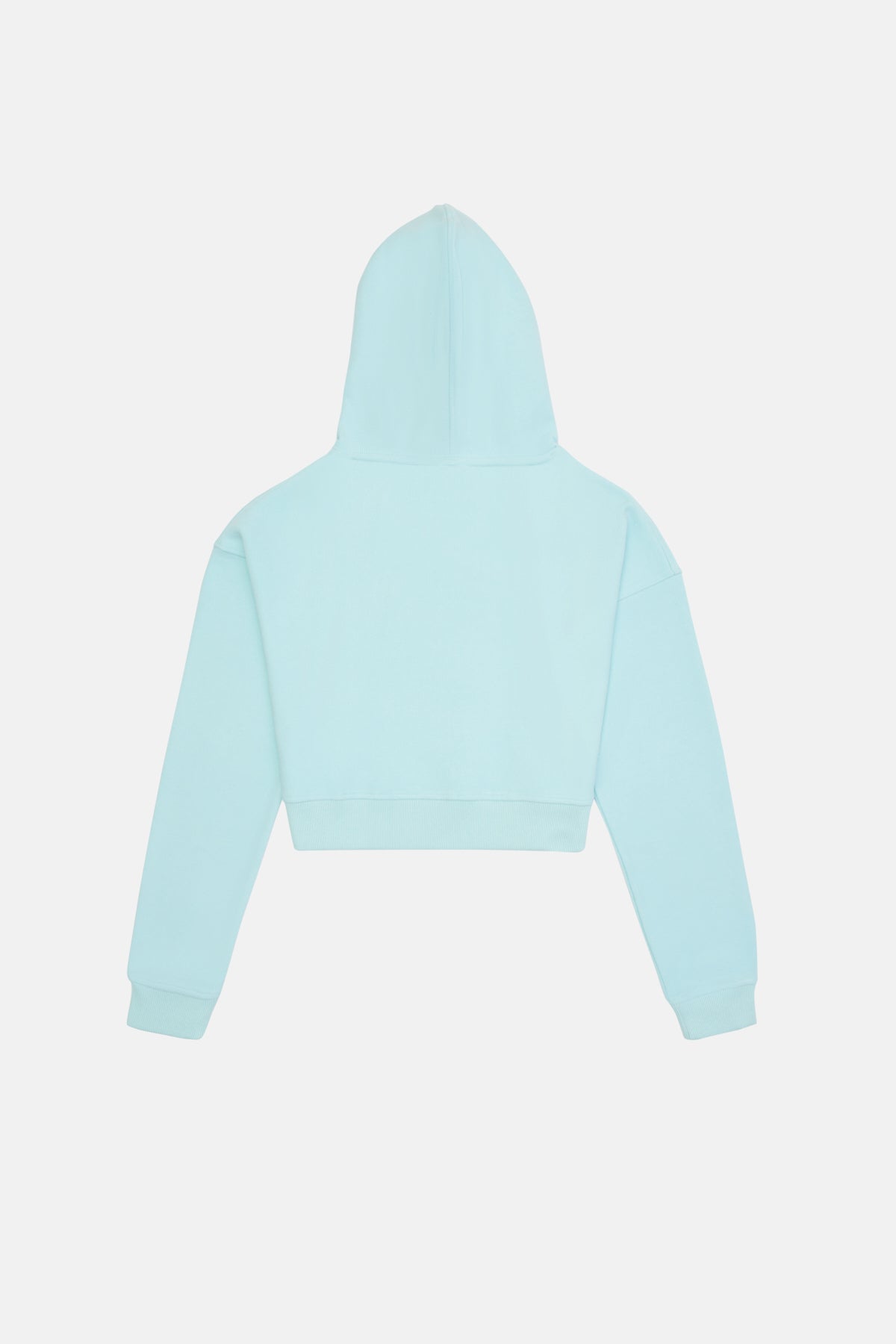 Ceylan Super Soft Crop Hoodie - Mint Mavi