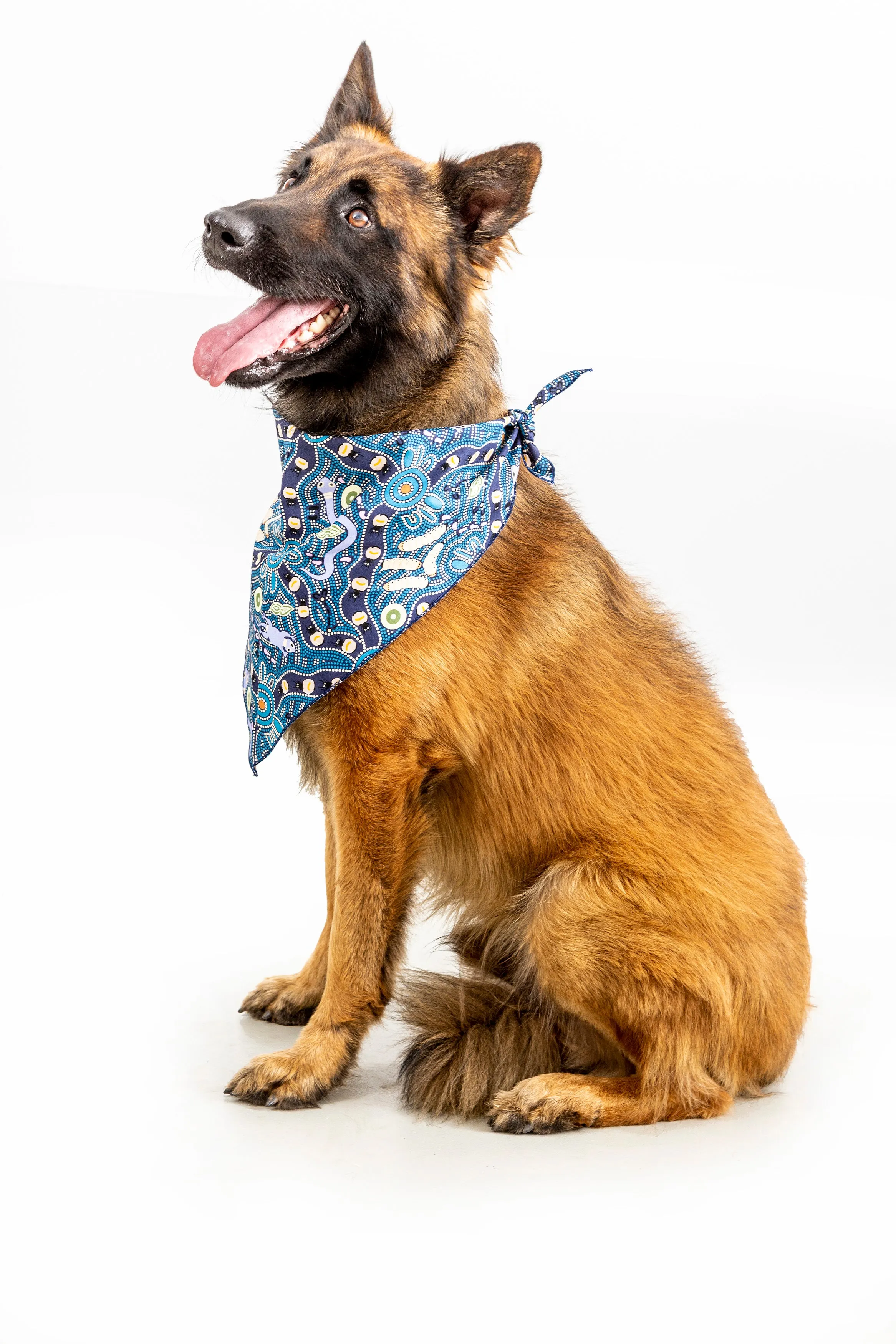 Doggie Bandanas