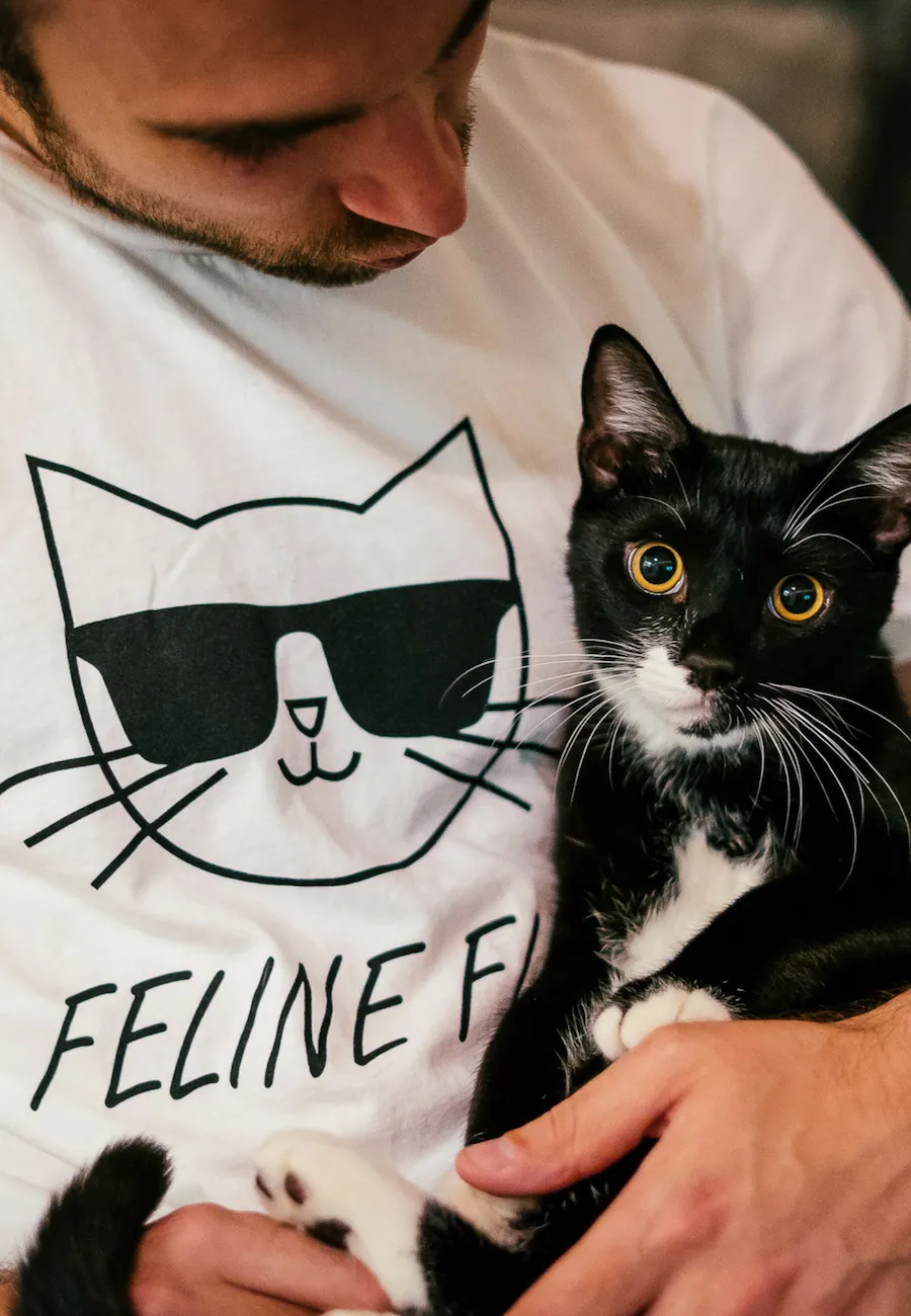 FELINE FINE