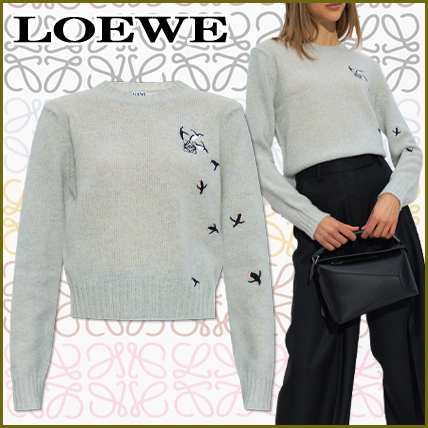 LOEWE  |Sweater in wool